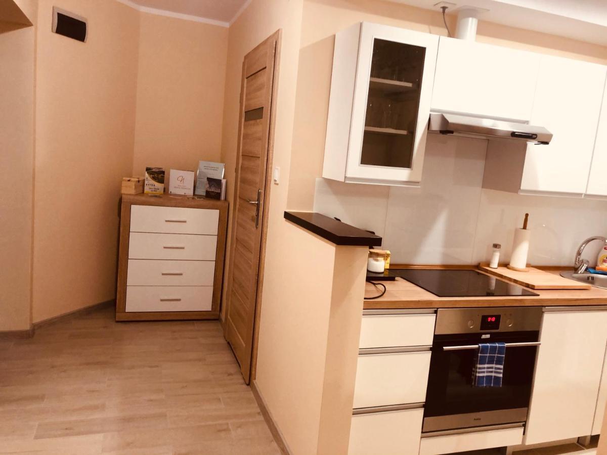 Apartamenty Alicja Dzierzoniow Exterior foto